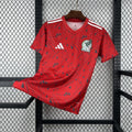 Spain 2026 World Cup Home Jersey